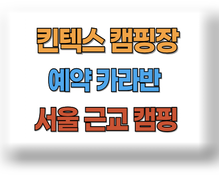 킨텍스 캠핑장