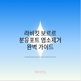 라비킷 보르르 분유포트 염소제거 완벽 가이드