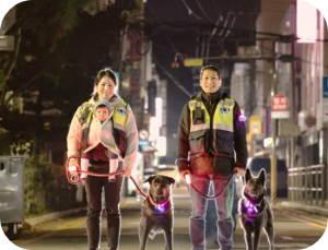 반려견 순찰대 우리동네 순찰 이미지 출처:http://www.petrol.or.kr/