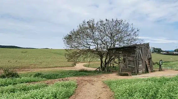 보리나라 학원농장