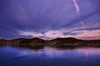 쑥섬에서 보내는 하루&amp;#44; 느리게 걷는 여행의 미학
