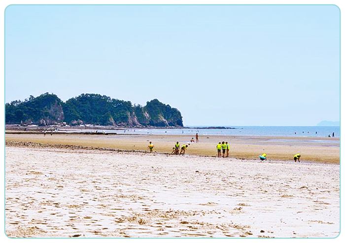 충남-태안-여행-백사장해수욕장