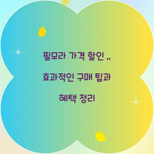 필모라 가격 할인