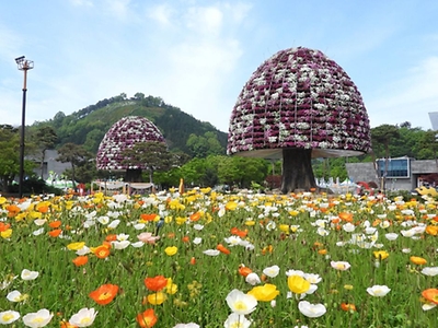 나비 정원 만들기: 식물 선택과 배치