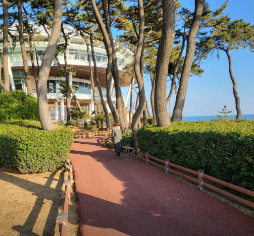 해운대 동백섬1