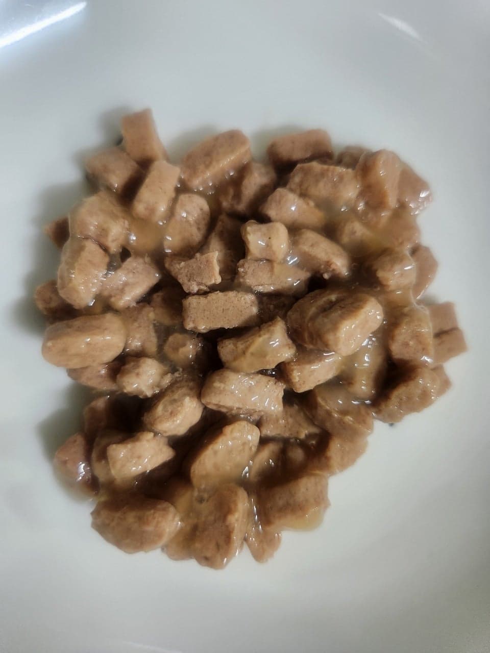 로얄캐닌의 '캣 가스트로인테스티널 화이버 리스폰스'