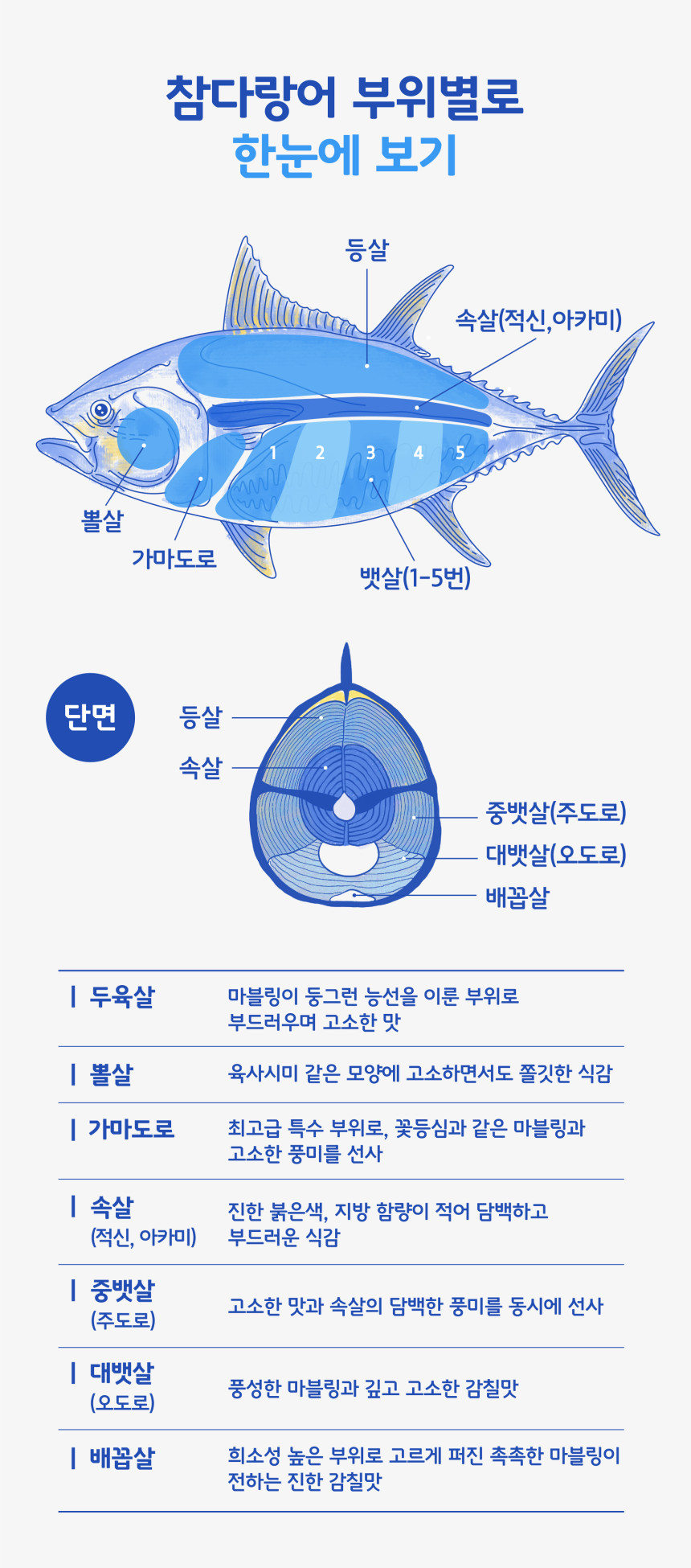참다랑어 부위별 한눈에 보기