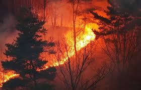 자연재해 재난 지원금 신청방법 