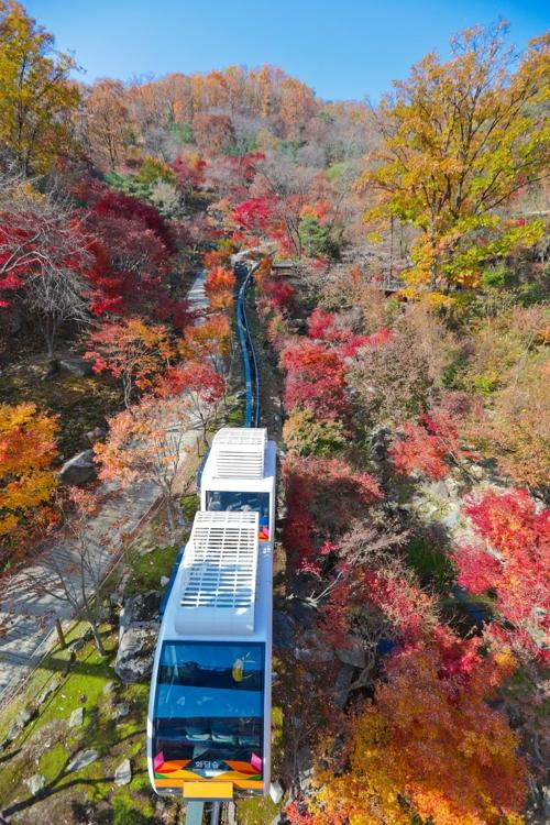 화담숲 모노레일 예약하러 가기