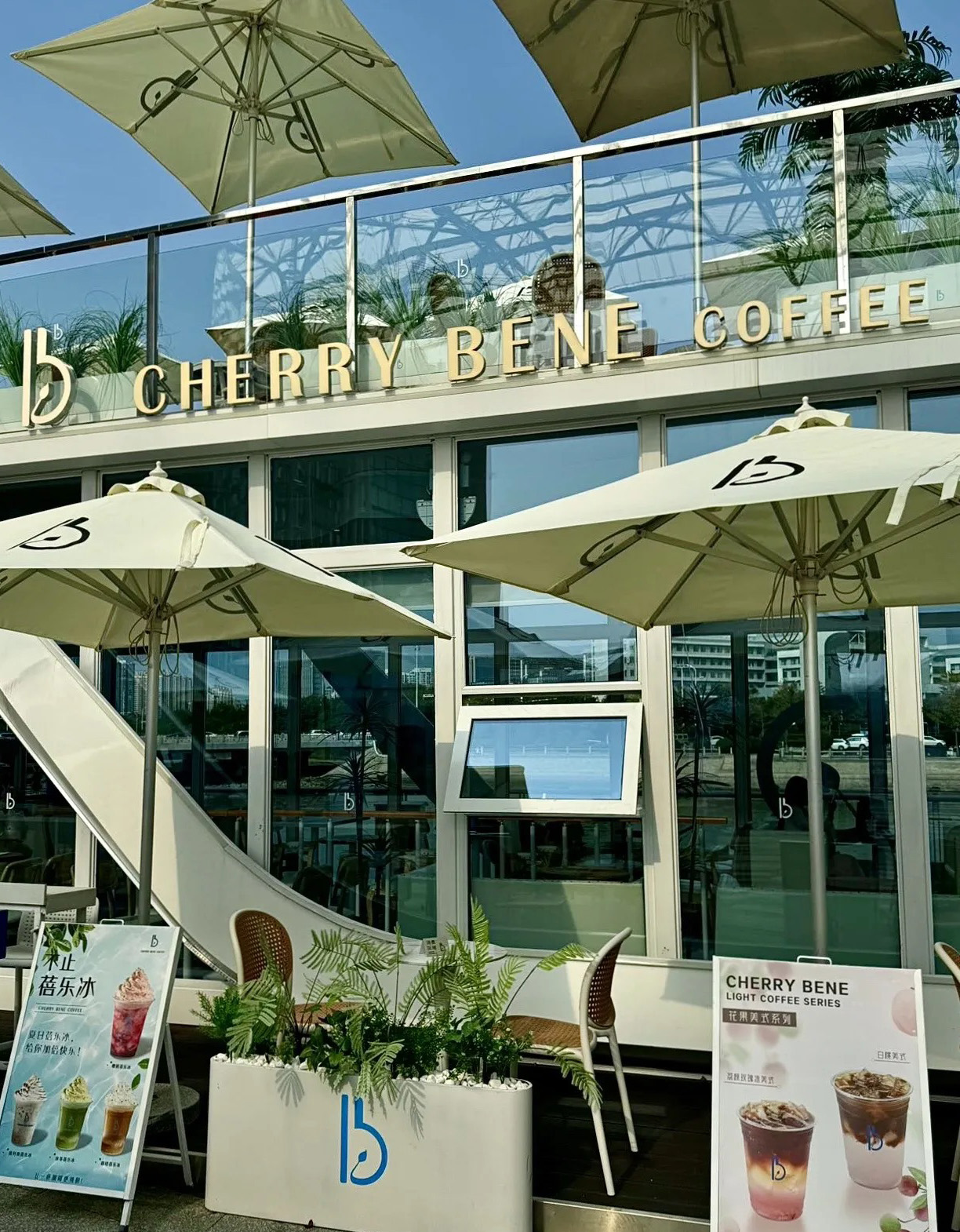 cherry bene 카페1