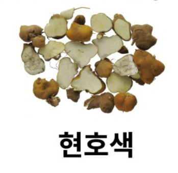 모티리톤정 성분