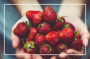딸기 효능 5가지