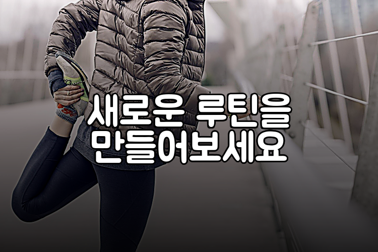 새로운 루틴을 만들어보세요