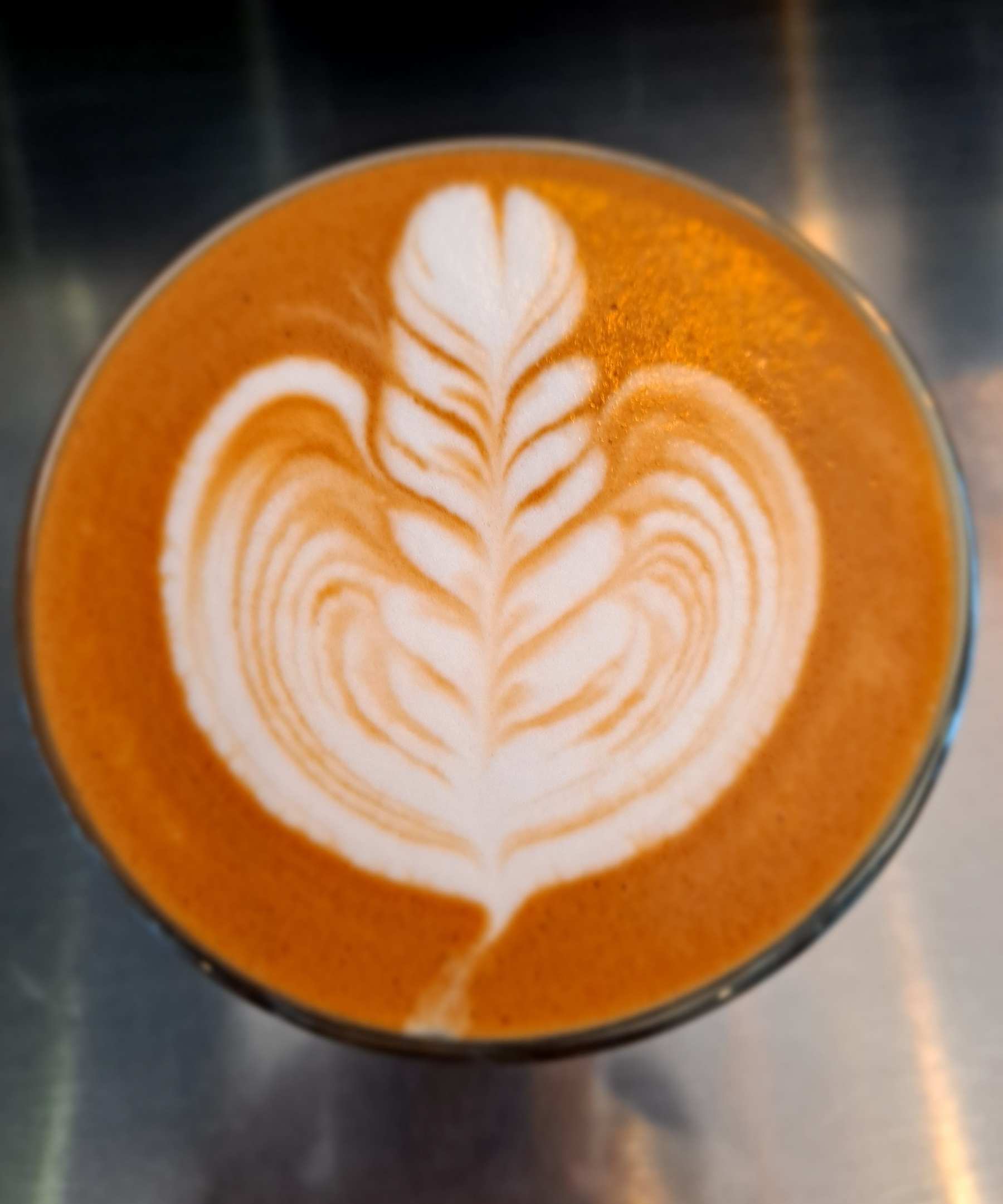 이번주 마지막 로제타