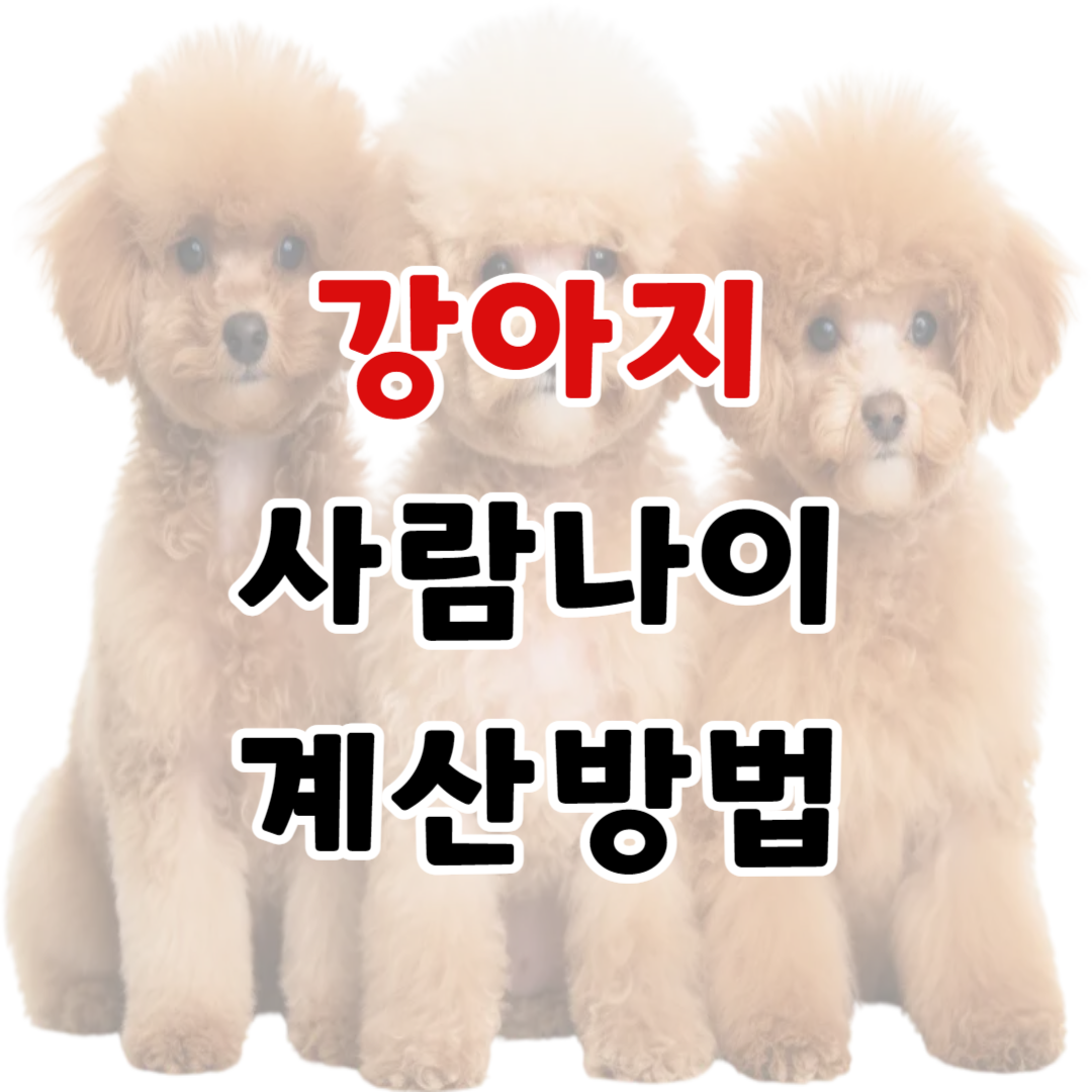 강아지 사람나이 계산방법, 나이표