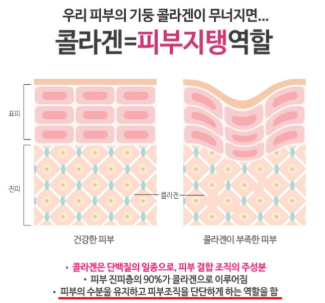 콜라겐의 섭취를 극대화 하는 방법(1)