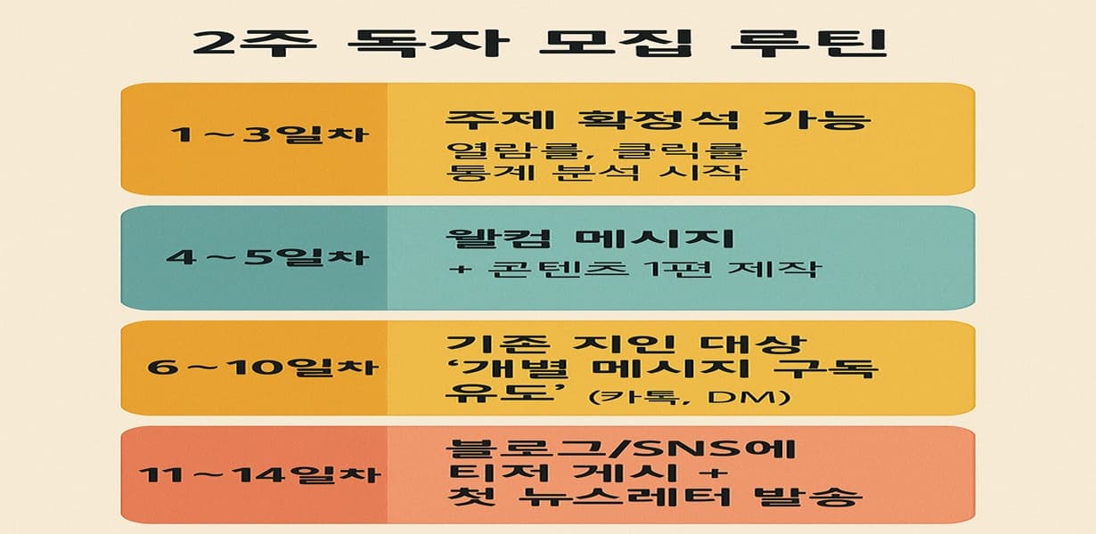 “뉴스레터 독자 100명을 모으기 위한 2주간의 실천 루틴 – 주제 확정, 웰컴 메시지, 지인 유도, 티저 콘텐츠 발송을 4단계로 정리한 인포그래픽”