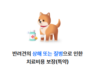 반려동물 보험 비교