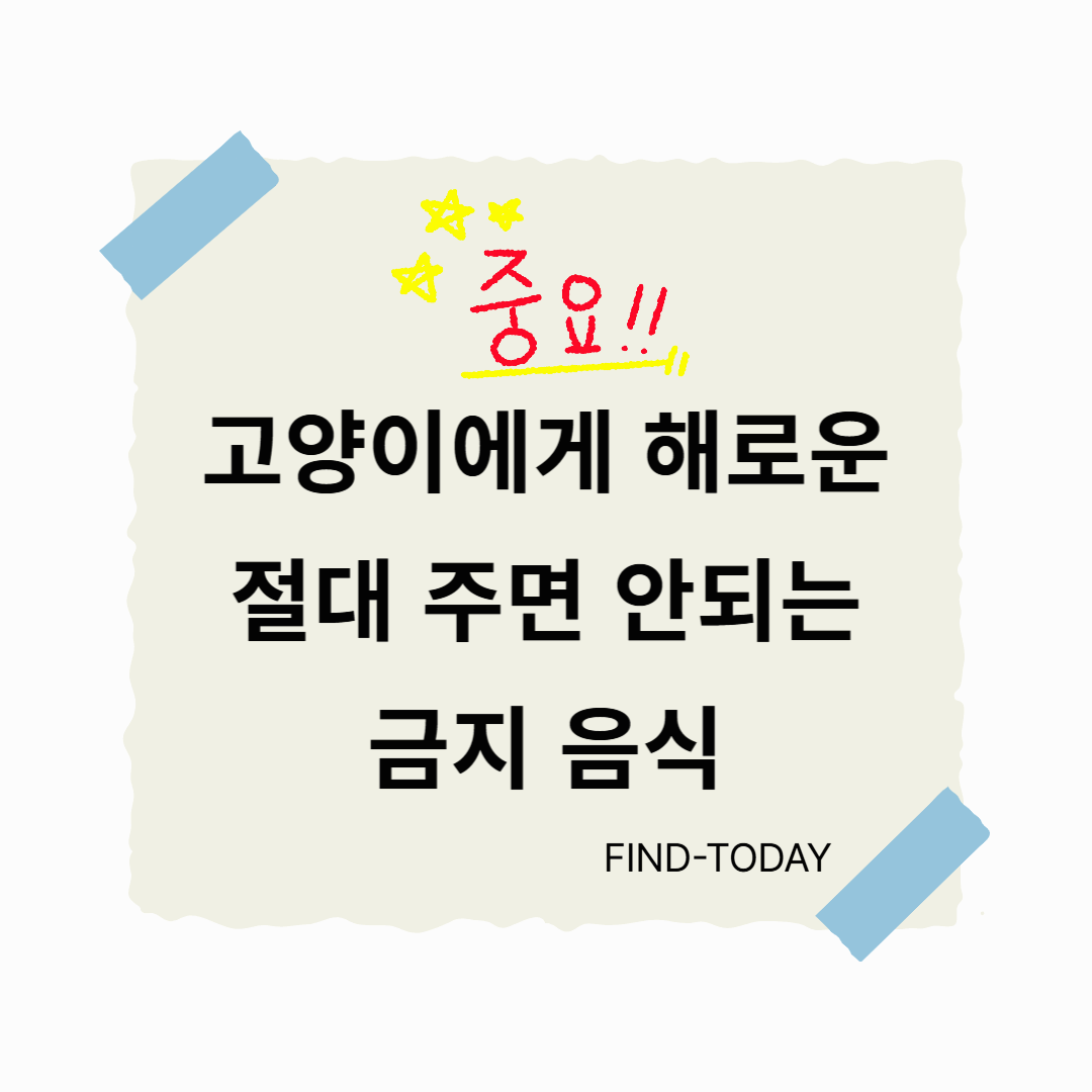 고양이에게 해로운 음식, 반려묘에게 주면 안되는 금지 음식