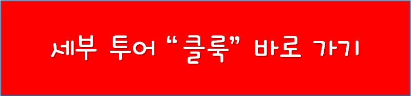 세부 투어