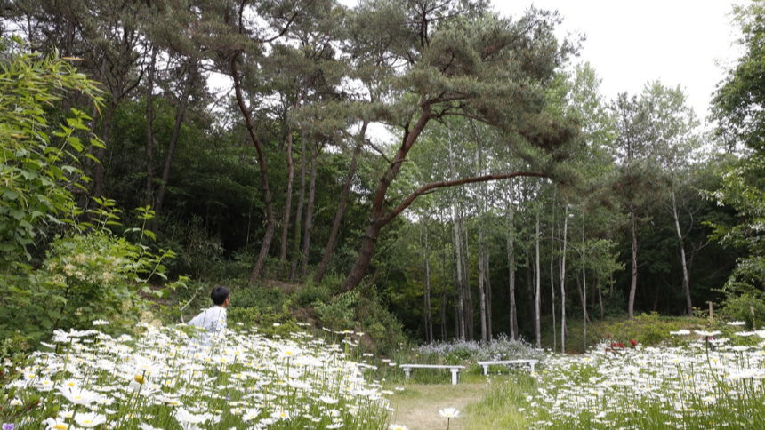 특색있고 아름다운 민간 정원 30선 추천 여행 - 22. 담양 죽화경