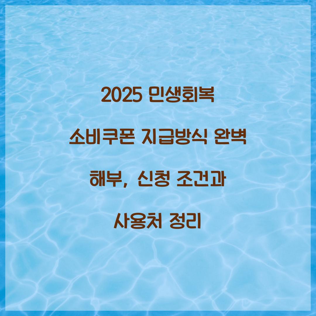2025 민생회복 소비쿠폰 지급방식