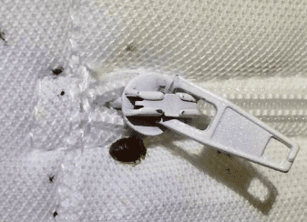 빈대 물린자국 빈대 퇴치법 퇴치제 살충제