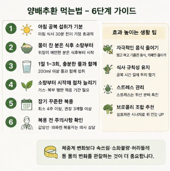 양배추환-효능-추천-유기농-효과-부작용-먹는법