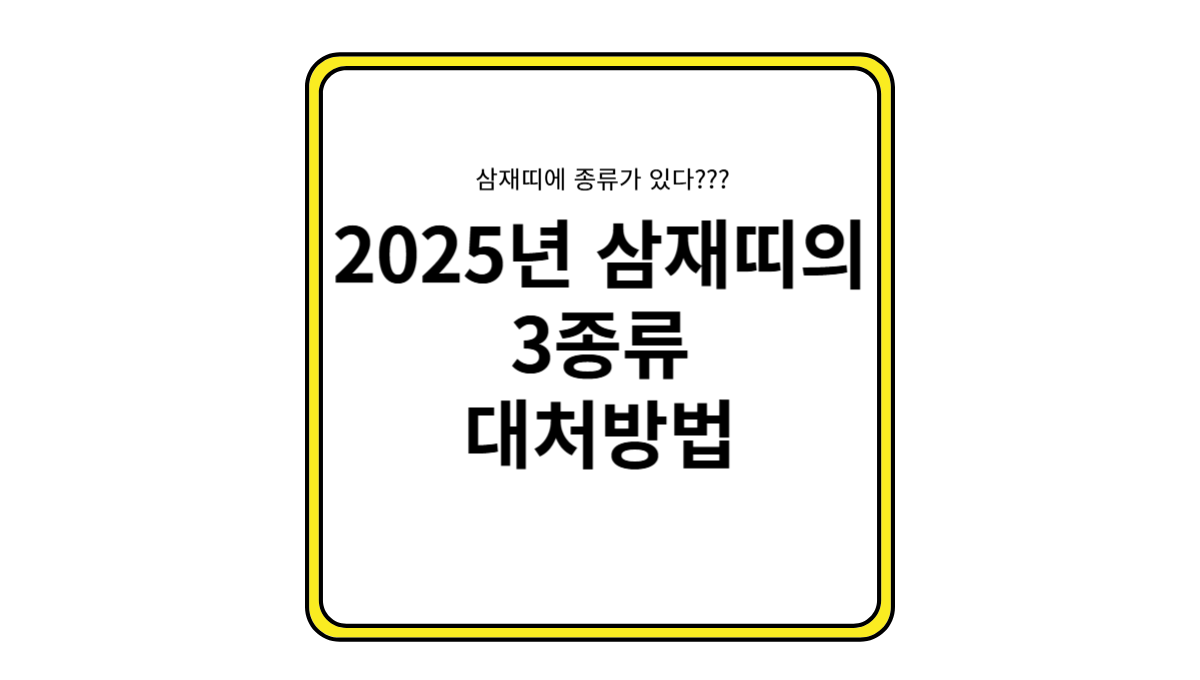 2025년 삼재