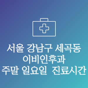 서울 강남구 세곡동 이비인후과 주말 일요일 문여는 병원 진료시간
