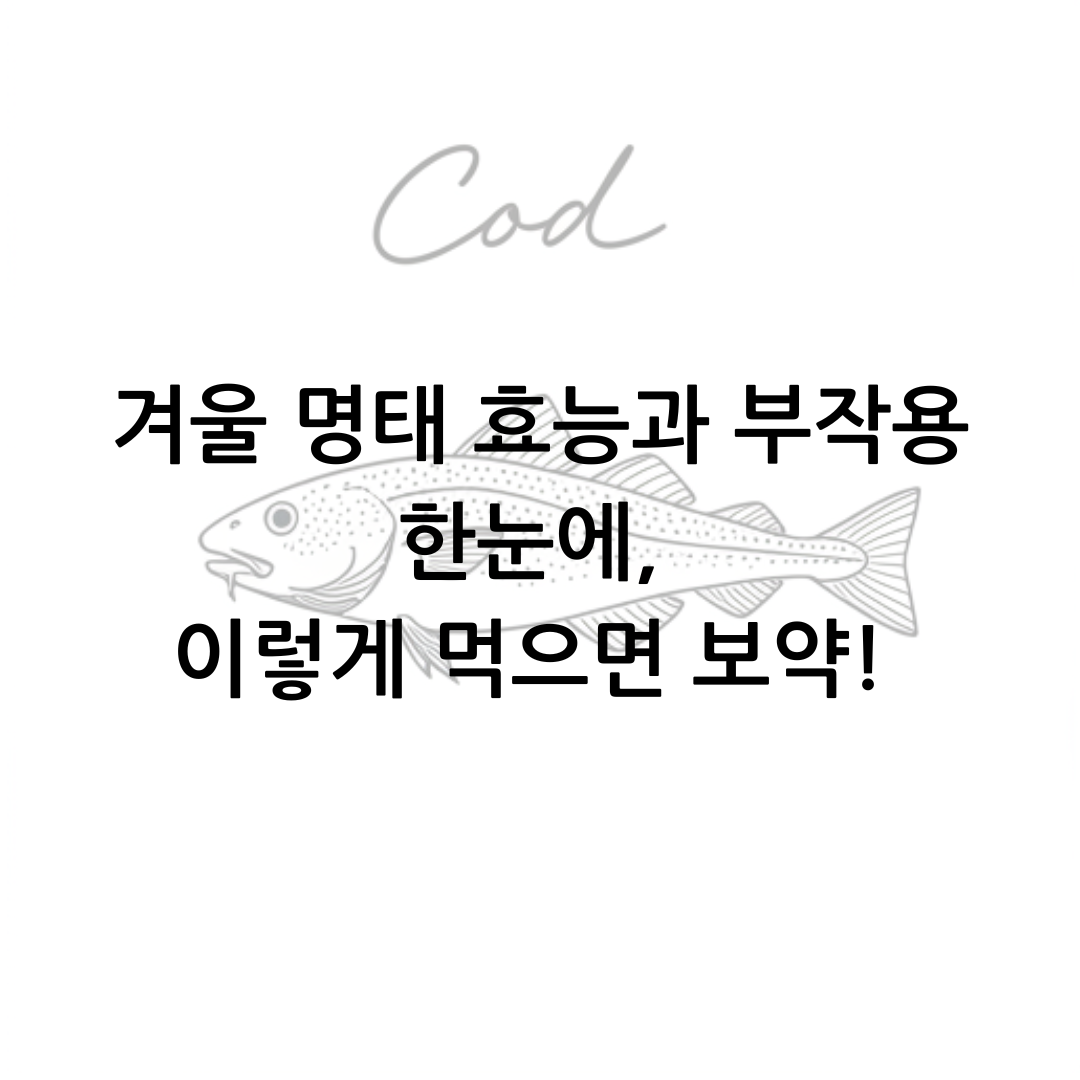 겨울 명태 효능과 부작용 한눈에, 이렇게 먹으면 보약!
