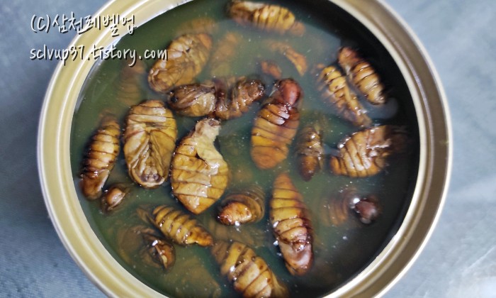 동원 번데기 개봉 후