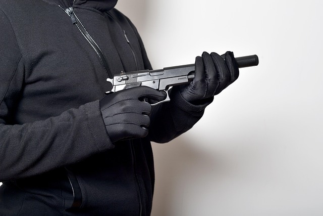 총기와 범죄 심리