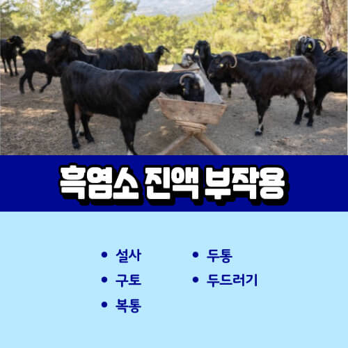 흑염소_진액_부작용