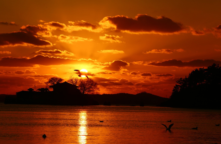 서산시 역사와 명소 음식 사진