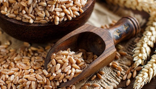 소녀시대 효연 건강한 다이어트 비결 - 고대 곡물 파로 효능, 효과, 부작용