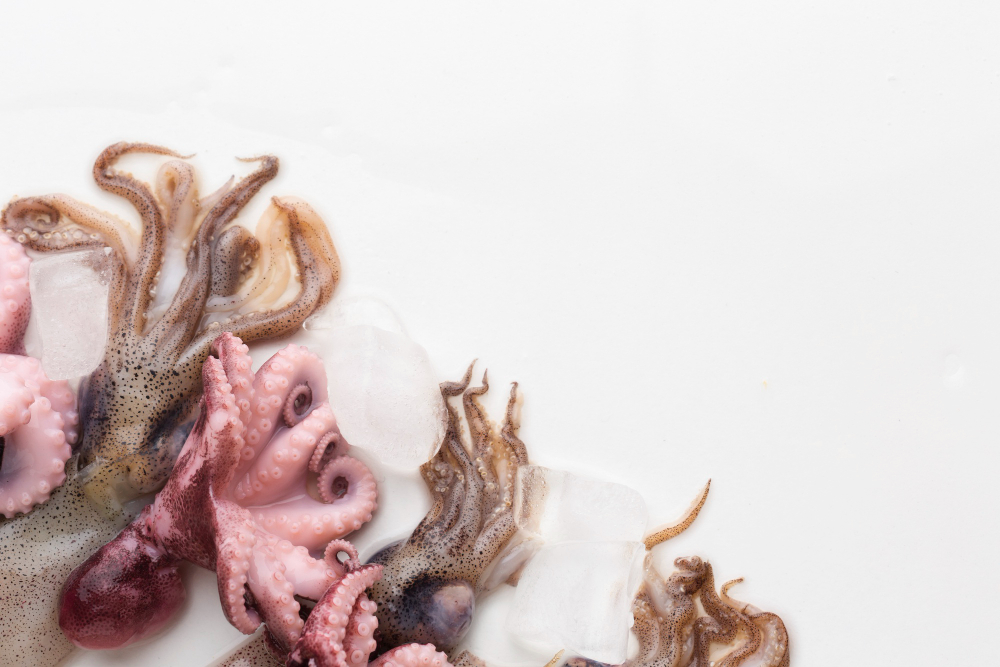 2025 쭈꾸미철 쭈꾸미 낚시 완벽 가이드: 초보자도 즐길 수 있는 쭈꾸미 낚시 방법과 팁