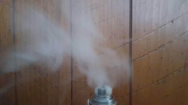 모기로부터의 보호