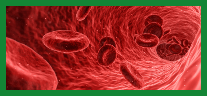 심혈관질환예방