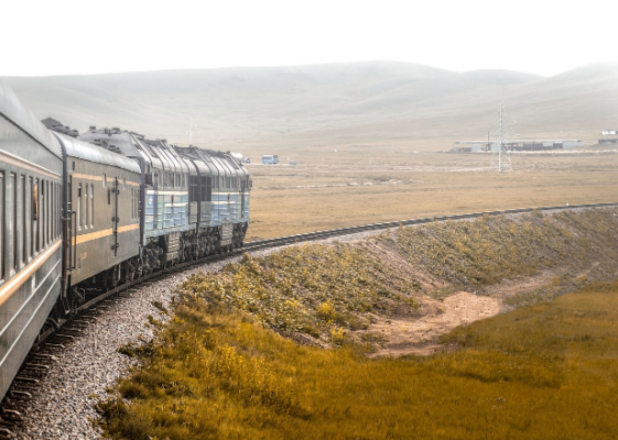 기차 이용시 반려동물 동반 규정