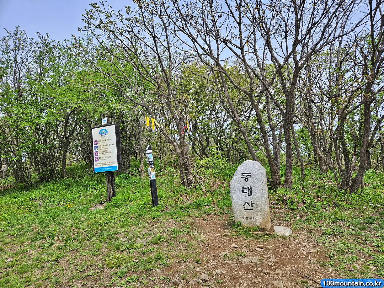 동대산 정상석
