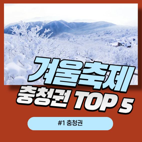 겨울 축제 TOP 5|올해 꼭 가야 할 겨울 명소 총정리