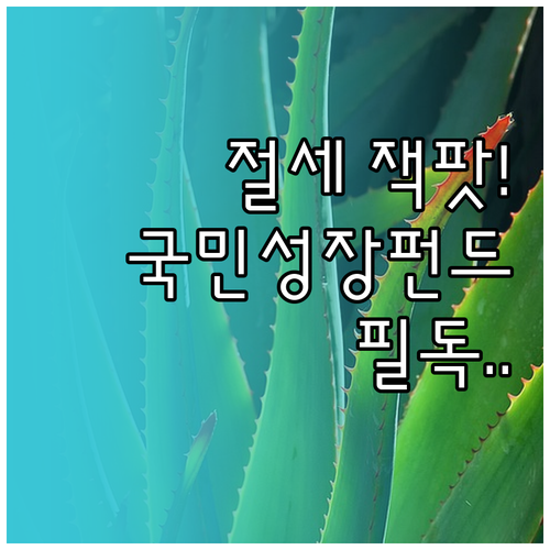 중소 벤처기업 투자 국민성장펀드 절세..