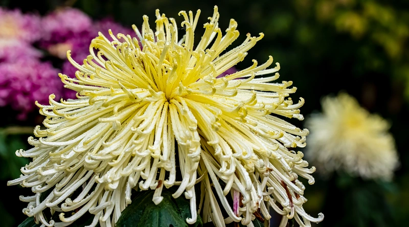 공장 환기설비의 필요성