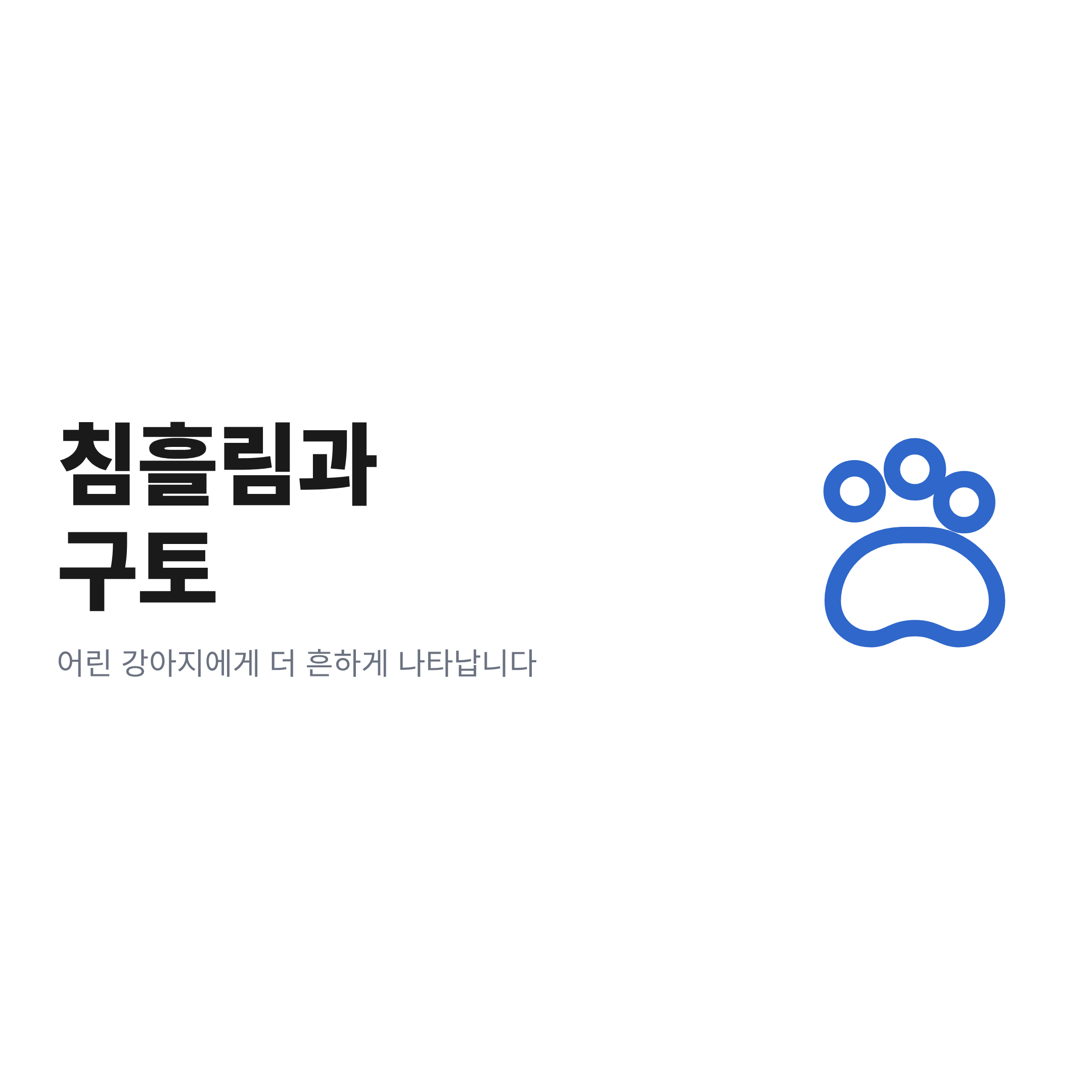 강아지 차멀미의 대표 증상인 과도한 침흘림과 구토를 정리한 화면