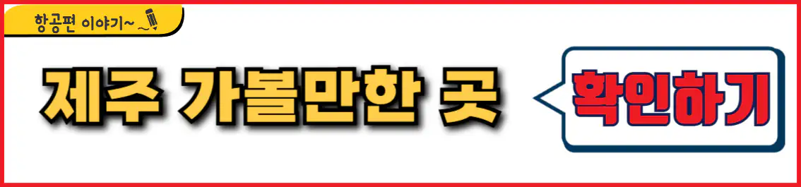 비짓 제주