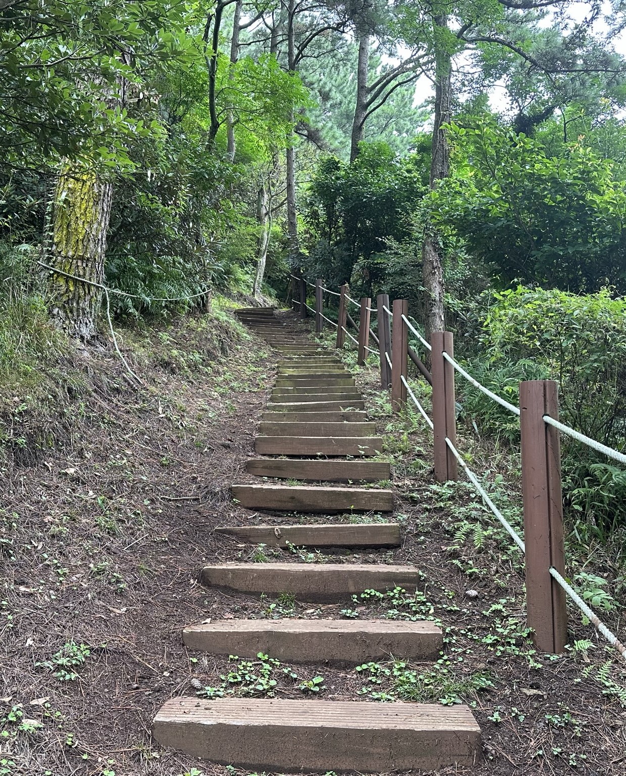 오름 산책로