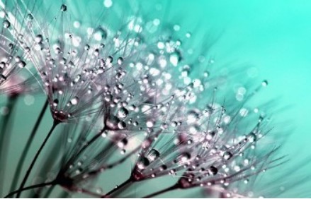 Sh 새 희망홀씨 2(해양수산인)