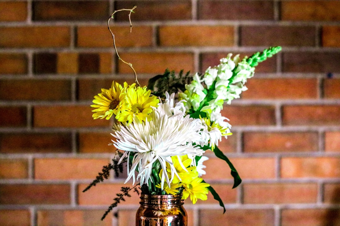 Arrangement