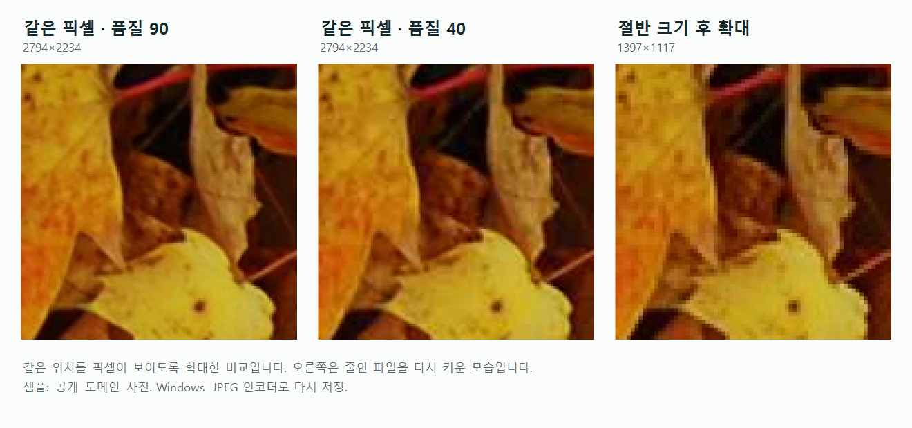 같은 나뭇잎을 품질 90, 품질 40, 절반 크기 확대로 비교한 모습.